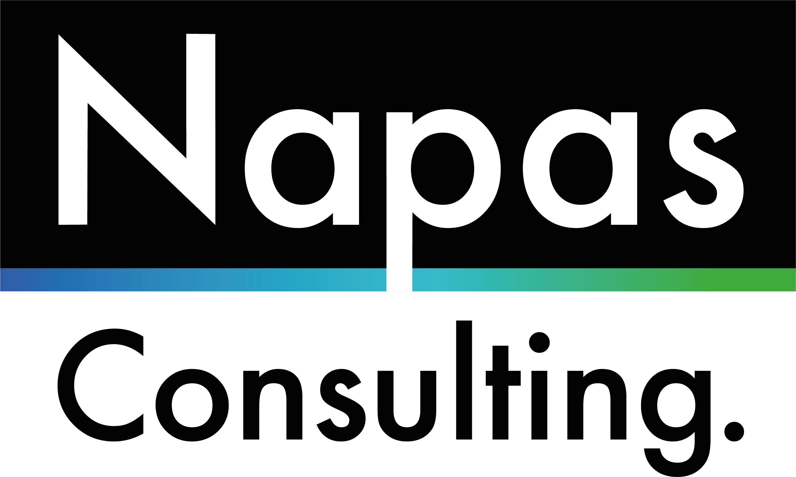 Napas Consulting 